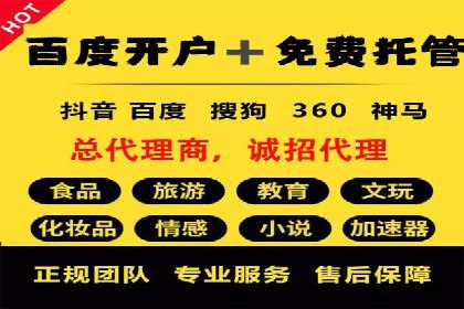 百度推广的广告投放策略案例